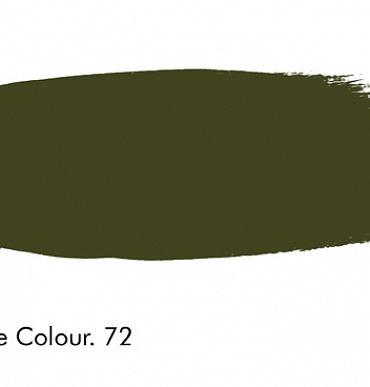 72 - Olive Colour