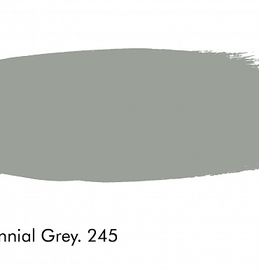 245 - Perennial Grey