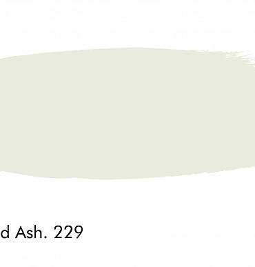 229 - Wood Ash